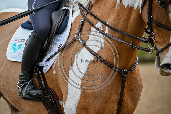 Voltaire_March_PN24_14462