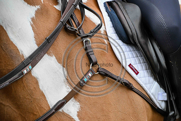 Voltaire_March_PN24_14455