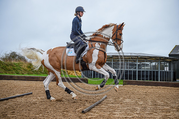 Voltaire_March_PN24_14267