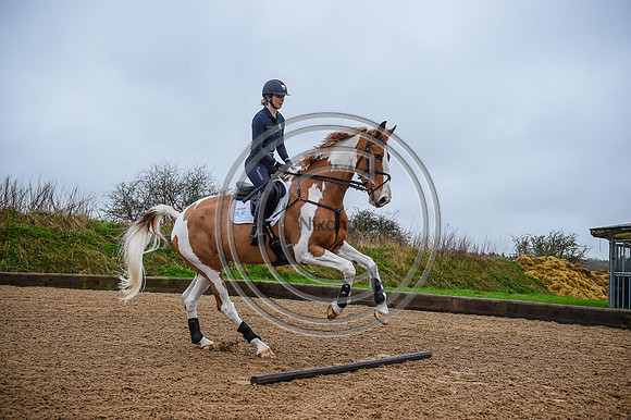 Voltaire_March_PN24_14266