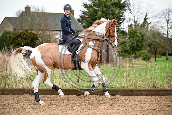 Voltaire_March_PN24_14440