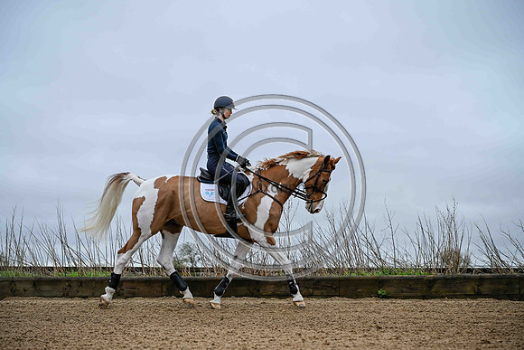 Voltaire_March_PN24_14436