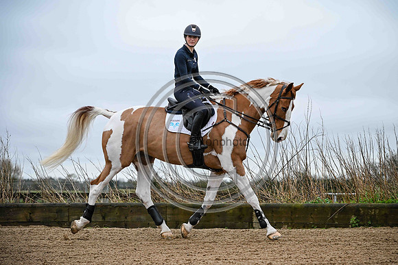 Voltaire_March_PN24_14434