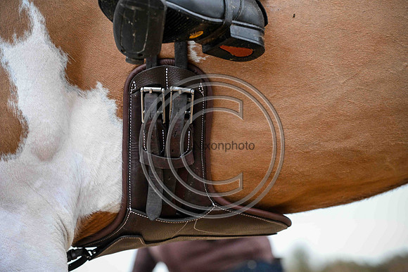 Voltaire_March_PN24_14427