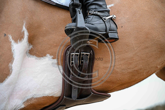 Voltaire_March_PN24_14426
