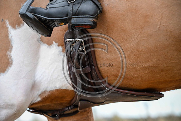 Voltaire_March_PN24_14428
