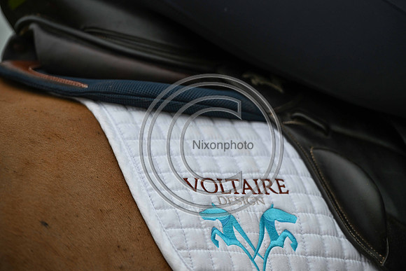 Voltaire_March_PN24_14416