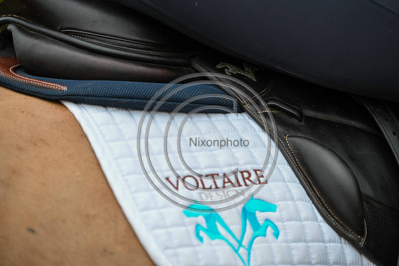Voltaire_March_PN24_14417