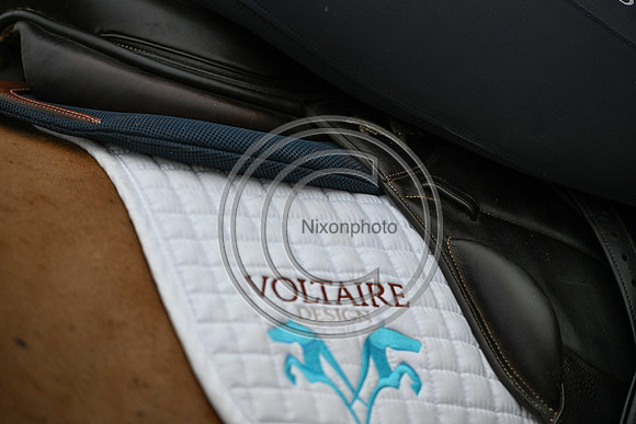 Voltaire_March_PN24_14415