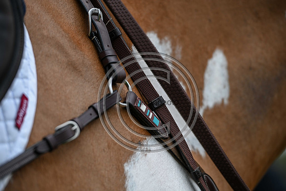 Voltaire_March_PN24_14410