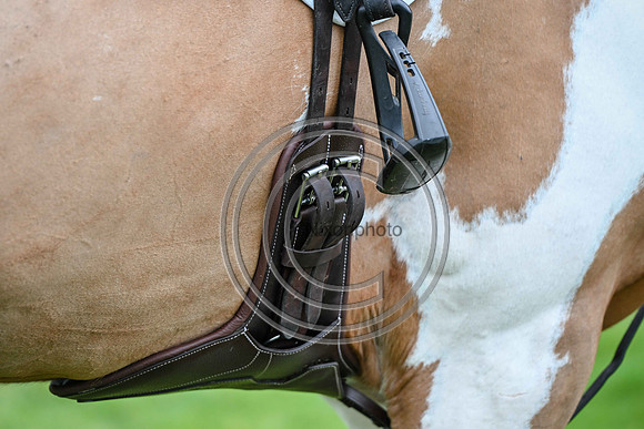 Voltaire_March_PN24_14408