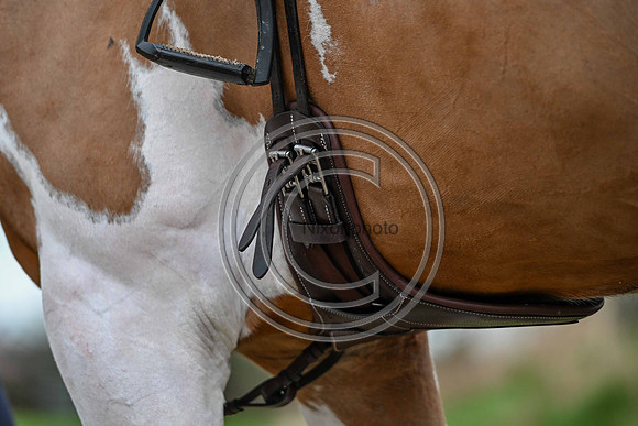 Voltaire_March_PN24_14407