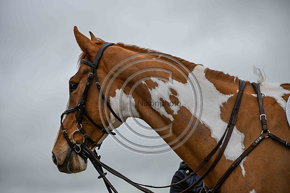 Voltaire_March_PN24_14406