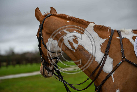 Voltaire_March_PN24_14404