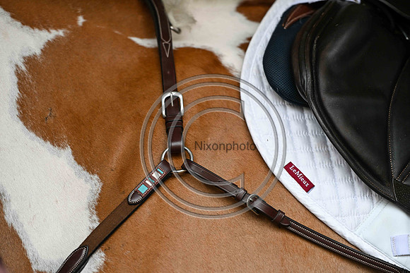 Voltaire_March_PN24_14402