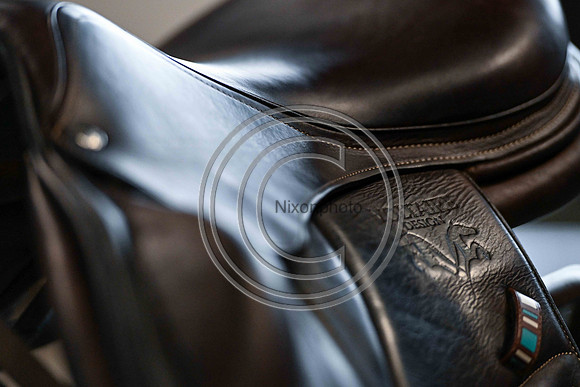 Voltaire_March_PN24_14384