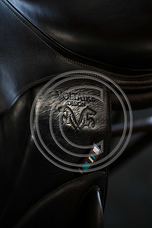 Voltaire_March_PN24_14381