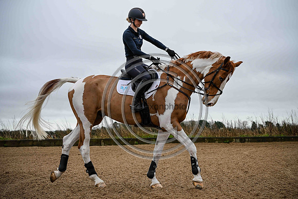 Voltaire_March_PN24_14421