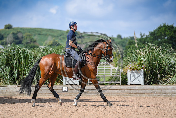 Collective Equestrian