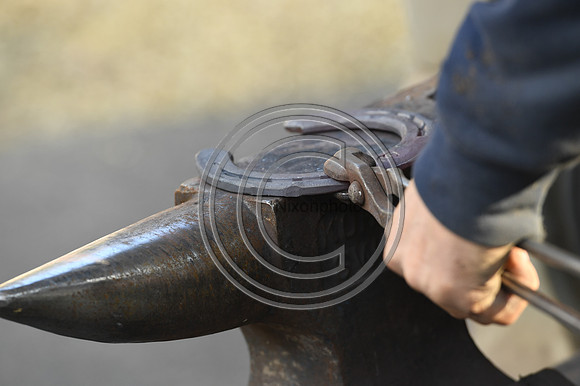 Nigel Perrott_Farrier_PN20_51878