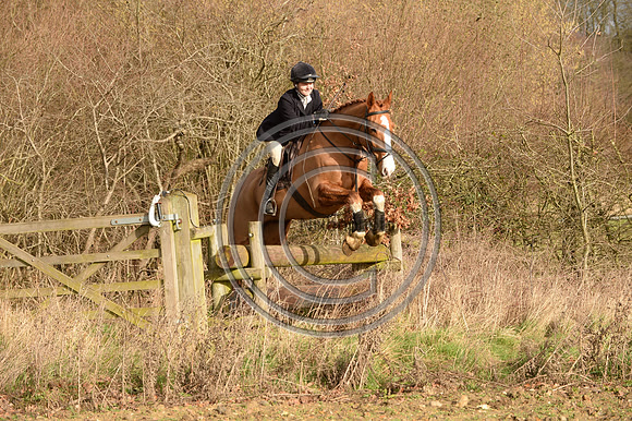 West Norfolk Hunt 01 02 20