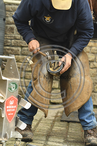 Nigel Perrott_Farrier_PN20_51856
