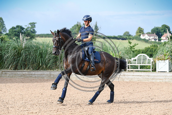 Collective Equestrian