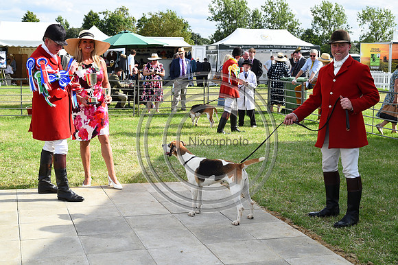 Festival of Hounds 2024