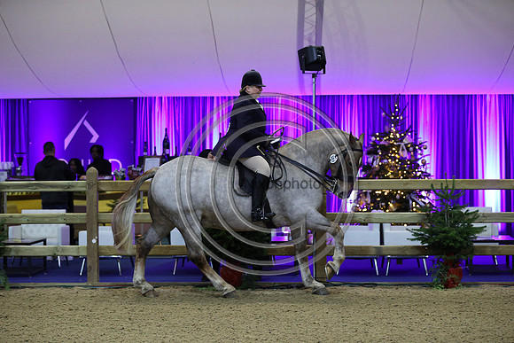 Rising Star_CobChamp_LIHS_PN24_10222