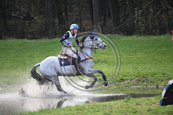 Astier NICOLAS_Babylon de Gamma_Krone_PN23_126173