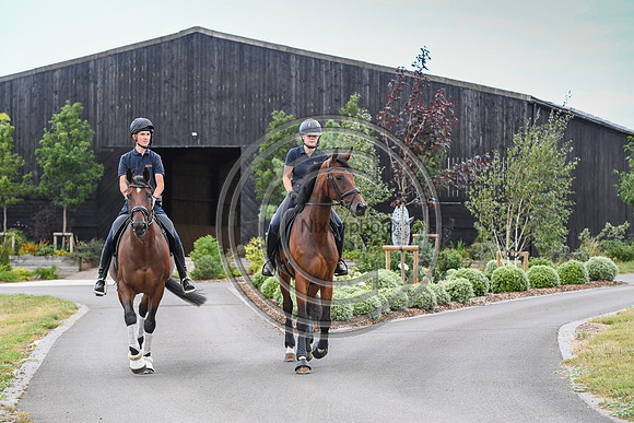 Collective Equestrian