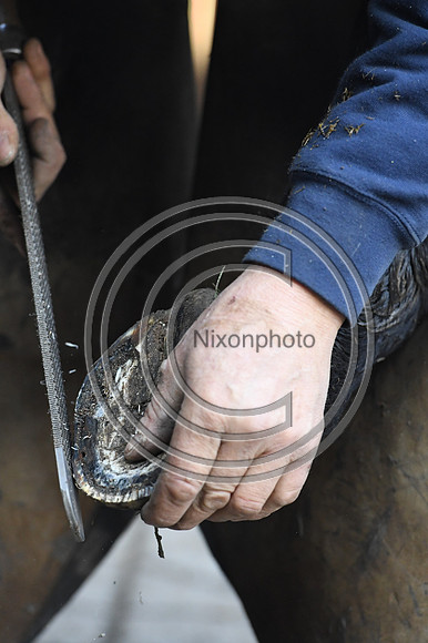 Nigel Perrott_Farrier_PN20_51869