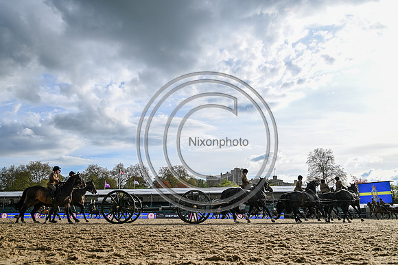 King's Troop_RWHS_PN24_130708
