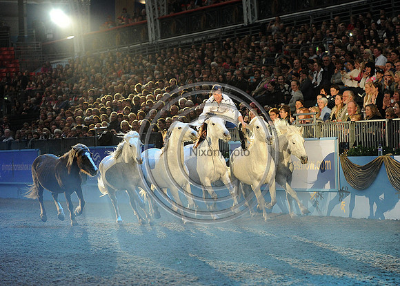 London International Horse Show,Olympia
