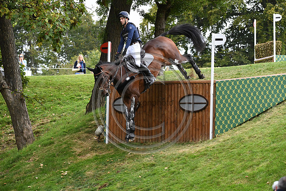 Arthur Duffort_TORONTO D AUROI_LRBHT_PN19_119862