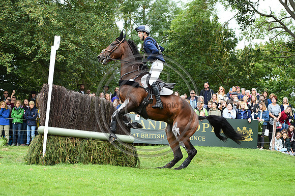 Arthur Duffort_TORONTO D AUROI_LRBHT_PN19_120925
