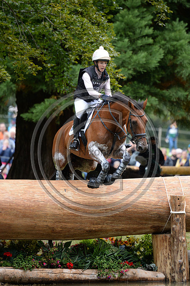 Becky Woolven_DHI BABETTE K_LRBHT_MR19_128418