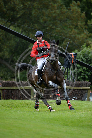 David Doel_SHANNONDALE QUEST_LRBHT_MR19_128713