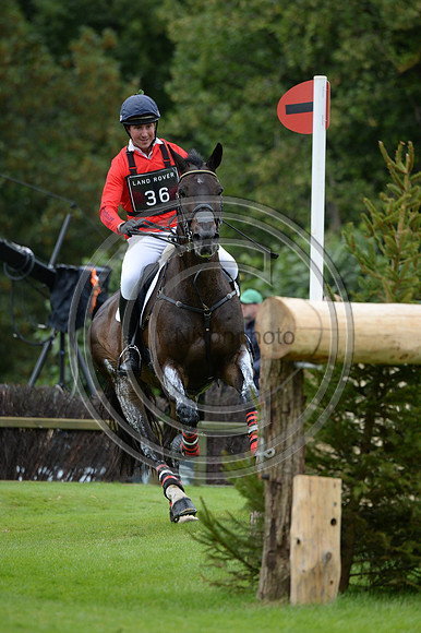 David Doel_SHANNONDALE QUEST_LRBHT_MR19_128716