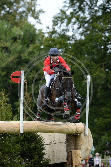 David Doel_SHANNONDALE QUEST_LRBHT_MR19_128719