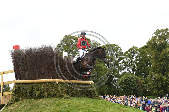 David Doel_SHANNONDALE QUEST_LRBHT_TM19_119776
