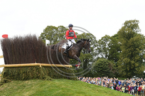 David Doel_SHANNONDALE QUEST_LRBHT_TM19_119777
