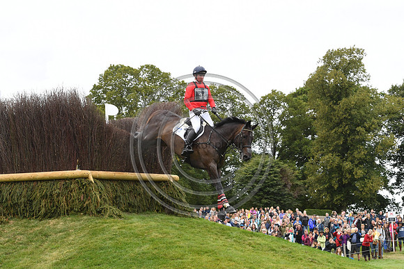 David Doel_SHANNONDALE QUEST_LRBHT_TM19_119778