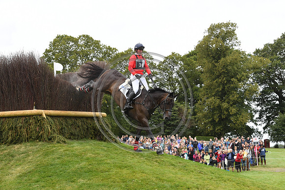 David Doel_SHANNONDALE QUEST_LRBHT_TM19_119779