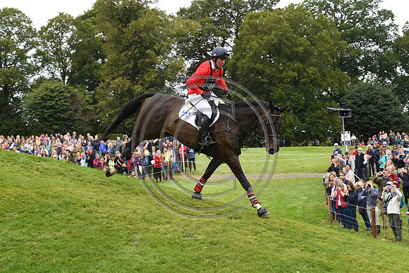 David Doel_SHANNONDALE QUEST_LRBHT_TM19_119782