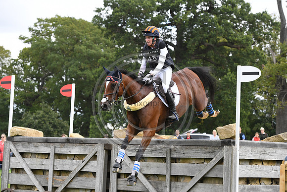 Elisabeth Halliday-Sharp_DENIRO Z _LRBHT_TM19_38615