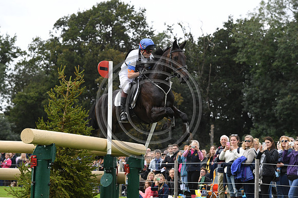 Francis Whittington_EVENTO_TM19_122240