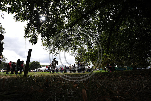 George Hilton-Jones_EFRAIM_LRBHT_TM19_129708