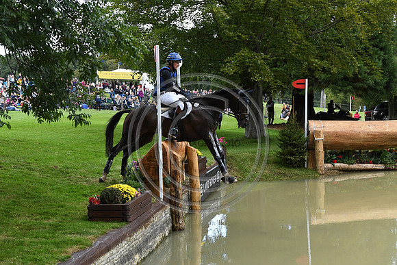 Ludwig Svennerstal_BALHAM MIST_LRBHT_PN19_120496