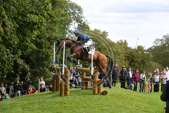 Ludwig Svennerstal_STINGER_LRBHT_PN19_119119